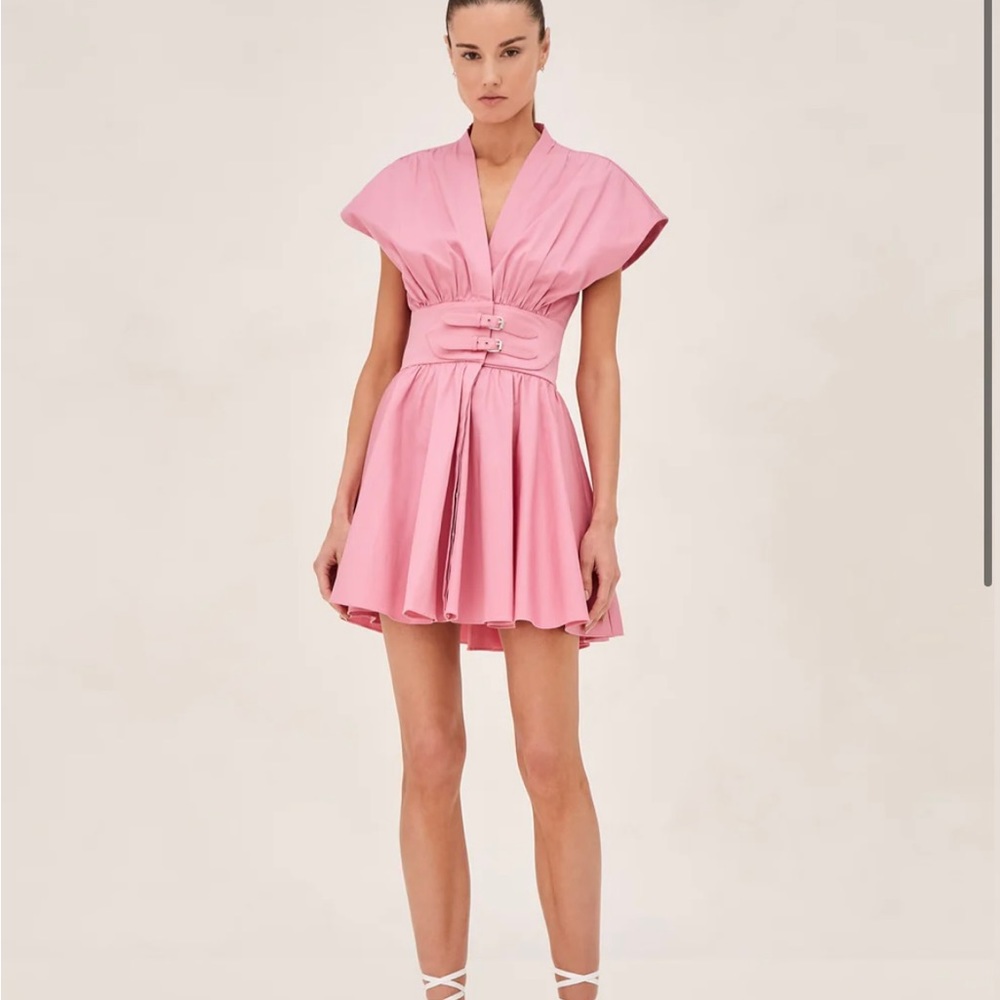 Alexis Bree dress